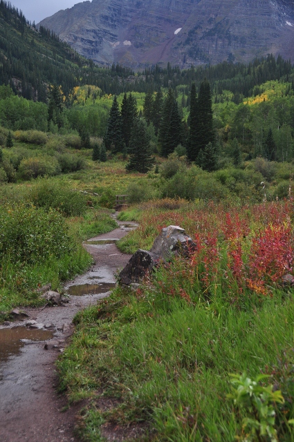 a Maroon Valley trail after a rain